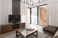 Salon-Render-3